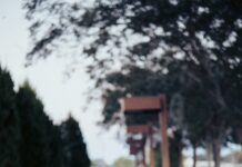 Viaja mejor: la tecnología que transforma cualquier escapada