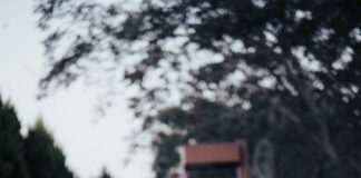 Viaja mejor: la tecnología que transforma cualquier escapada