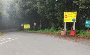 El Cabildo informa de cortes y regulación del tráfico en la carretera entre Juego de Bolas y La Laguna Grande a partir del lunes