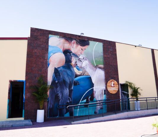 El Centro de Interpretación del Queso y el Pastoreo se consolida como referente con más de un millar de visitantes