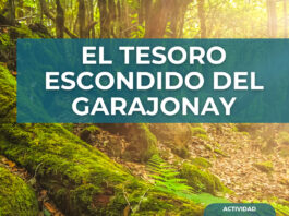 Cabildo y Fundación Acuorum celebran el Día Mundial del Agua en la isla con una búsqueda del tesoro ambiental