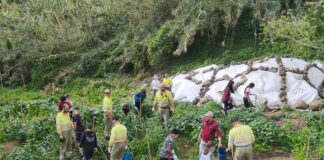 La Unidad de Medio Ambiente impulsa la recuperación de bosques de galería con la participación de escolares