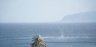 El Cabildo refuerza el operativo de carreteras y emergencias ante la llegada de la borrasca Therese