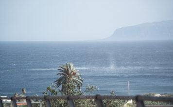 El Cabildo refuerza el operativo de carreteras y emergencias ante la llegada de la borrasca Therese