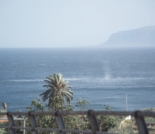 El Cabildo refuerza el operativo de carreteras y emergencias ante la llegada de la borrasca Therese
