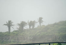 El CECOPIN gestiona más de un centenar de incidencias durante el paso de la borrasca Therese