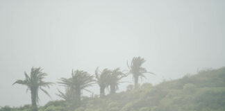 El CECOPIN gestiona más de un centenar de incidencias durante el paso de la borrasca Therese