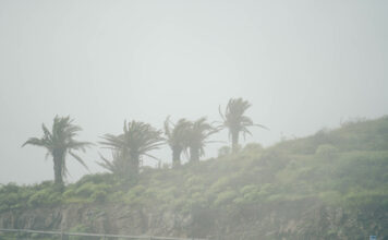 El CECOPIN gestiona más de un centenar de incidencias durante el paso de la borrasca Therese
