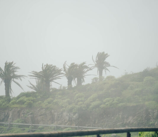 El CECOPIN gestiona más de un centenar de incidencias durante el paso de la borrasca Therese
