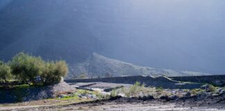 El Cabildo rebaja el PEIN a alerta y mantiene la aplicación de medidas preventivas