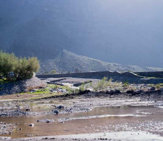 El Cabildo rebaja el PEIN a alerta y mantiene la aplicación de medidas preventivas