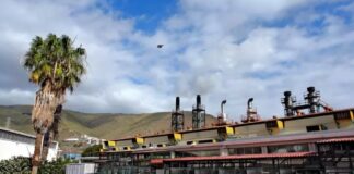 La caída una palmera por el viento ocasionó el cero energético de La Gomera en enero