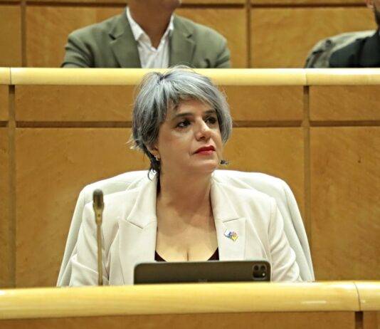 El PSOE vota a favor de que el aeropuerto gomero cambie su sistema de control aéreo