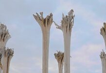 El Grupo Vocal Reyes Bartlet lleva a La Gomera su visión de la polifonía en el XX Festival de Música Religiosa de Canarias