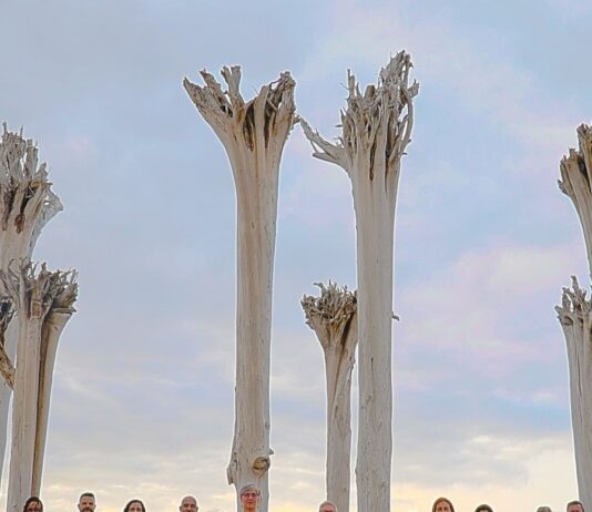 El Grupo Vocal Reyes Bartlet lleva a La Gomera su visión de la polifonía en el XX Festival de Música Religiosa de Canarias