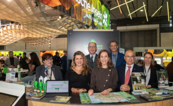 Islas Canarias refuerza su liderazgo en invierno para un mercado alemán muy rentable para el destino