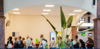 El Cabildo de La Gomera publica la resolución provisional de viajes de turismo sociocultural para mayores