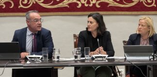 El comisionado del REF presenta en el Parlamento un nuevo incentivo fiscal para capacitar a los trabajadores de las islas y facilitar su conciliación familiar