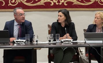 El comisionado del REF presenta en el Parlamento un nuevo incentivo fiscal para capacitar a los trabajadores de las islas y facilitar su conciliación familiar