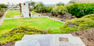 El Cabildo de La Gomera convoca la XVII edición del Concurso de Relatos Hiperbreves ‘Ruiz de Padrón’