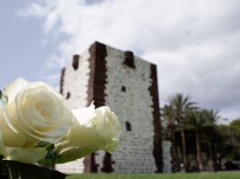 Cabildo y Cámara de Comercio ponen en marcha una nueva campaña de dinamización comercial por el Día de la Madre