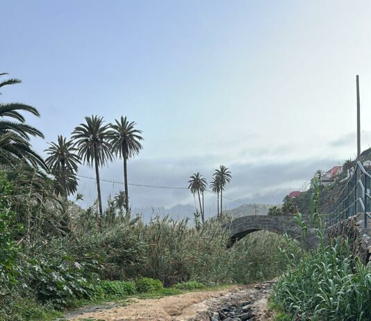 El Ayuntamiento de Vallehermoso actúa ante las incidencias provocadas por la borrasca Therese y refuerza la intervención con nuevas actuaciones de emergencia