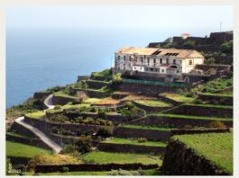 Cien años del Transportador de Agulo