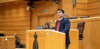 Fabián Chinea (ASG) exige la retirada del sistema AFIS en el aeropuerto de La Gomera y su sustitución por un control aéreo completo