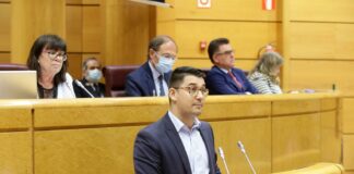 El Senado aprueba la moción de Fabián Chinea (ASG) para impulsar un plan energético específico para Canarias ante la crisis internacional