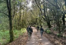 Personal del Grupo Táctico Canarias desplegará en las islas de La Gomera y El Hierro