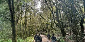 Personal del Grupo Táctico Canarias desplegará en las islas de La Gomera y El Hierro