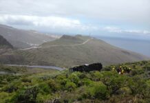 La prensa británica se interesa por lo sucedido en el accidente de guagua en la GM-2 de La Gomera