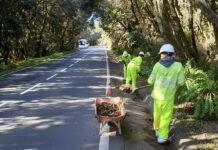 El Cabildo aprueba una inversión de 16 millones de euros para licitar el servicio de mantenimiento de carreteras hasta 2029