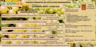 El Cabildo impulsa una agenda formativa en viticultura regenerativa durante los meses de mayo y junio