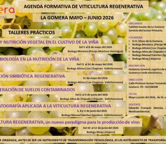 El Cabildo impulsa una agenda formativa en viticultura regenerativa durante los meses de mayo y junio