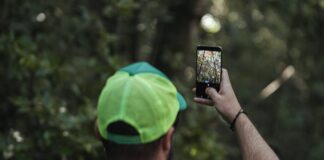 La Reserva de la Biosfera La Gomera impulsa la participación juvenil en futuras actividades y proyectos