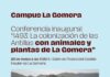 El Cabildo acoge este jueves la conferencia inaugural de la iniciativa formativa Campus La Gomera 2026