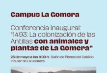 El Cabildo acoge este jueves la conferencia inaugural de la iniciativa formativa Campus La Gomera 2026