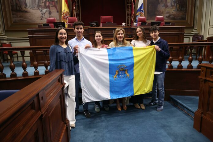 Bandera Canaria Parlamento