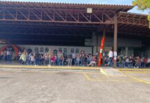 oalición Canaria logra la mayoría absoluta en las elecciones al Consejo de Residentes Españoles de Venezuela