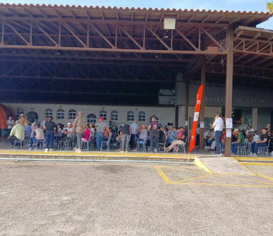 Coalición Canaria logra la mayoría absoluta en las elecciones al Consejo de Residentes Españoles de Venezuela