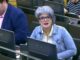 Esther Rodríguez celebra que el Congreso apueste por el acogimiento familiar de los menores tutelados