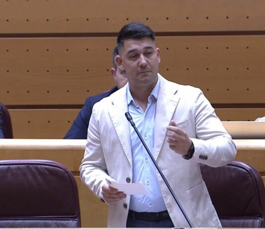 Fabián Chinea (ASG) reclama protocolos claros para abordar crisis sanitarias tras la situación provocada por el brote de hantavirus
