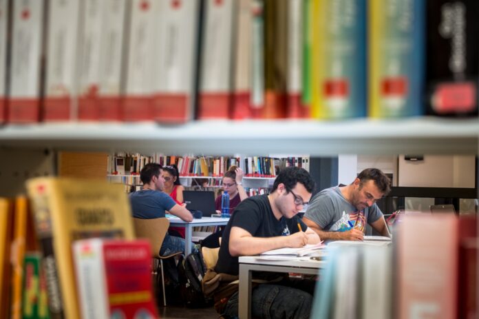 Imagen de la Biblioteca Insular de Gran Canaria (2)