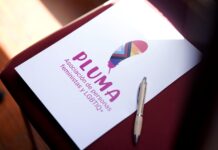 La Asociación Pluma condena rotundamente los ataques LGTBIfóbicos y gordofóbicos que ha recibido en redes sociales un creador de contenido gomero