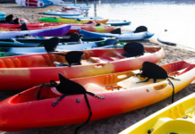 Todo sobre las canoas y los kayaks: ¿en qué se diferencian?