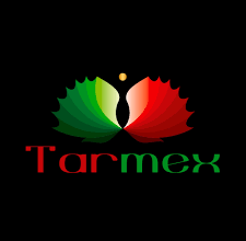 ¿Qué debes saber antes de comprar material para tatuar por primera vez?