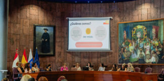El Cabildo refuerza la coordinación insular en adicciones y salud mental con el sector social de La Gomera