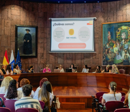 El Cabildo refuerza la coordinación insular en adicciones y salud mental con el sector social de La Gomera