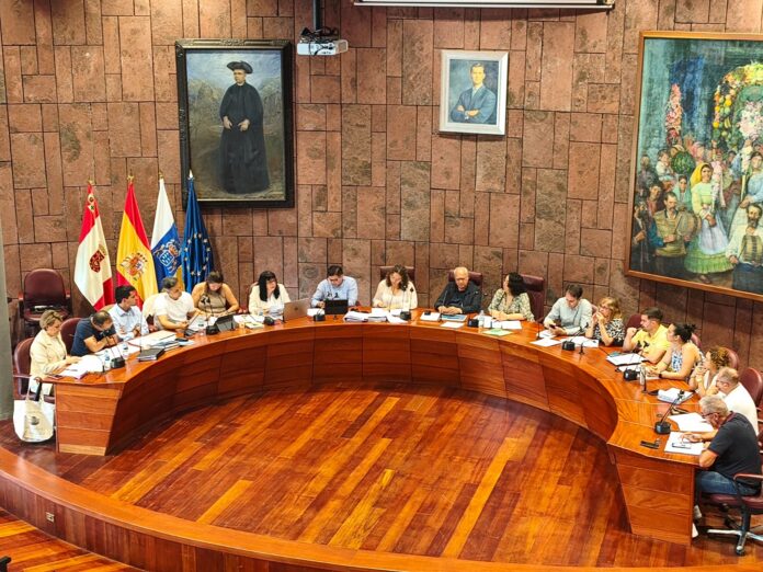 090626-pleno-del-cabildo-de-la-gomerajpg
